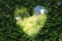 heart in nature